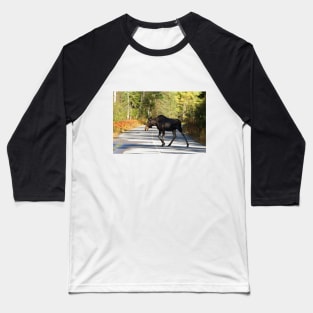 Jay Walking Moose - Algonquin Park, Canada Baseball T-Shirt